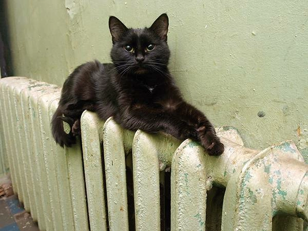 Счетчики поймали перетоп