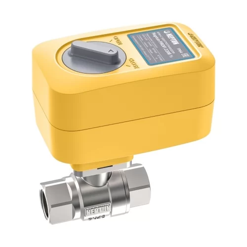 Кран с электроприводом Neptun PROFI 220В 1¼ - 1