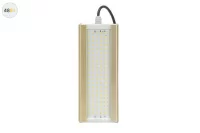 Уличный светодиодный светильник GOLD, универсальный U-1, 48 Вт в 