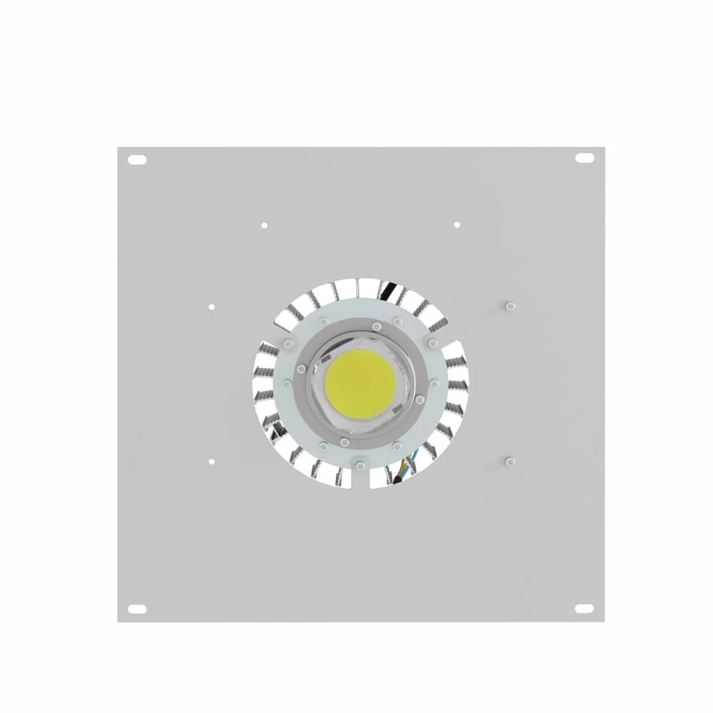 2024052709193175064.jpg