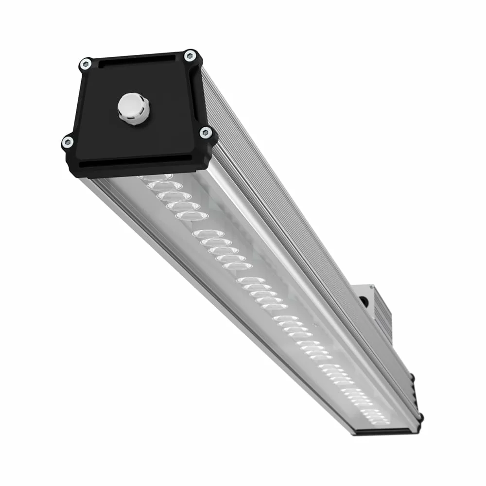 2024052713075894409.jpg