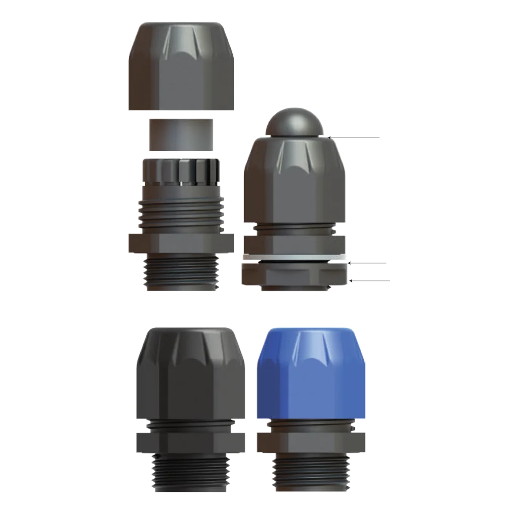 vega_2_4