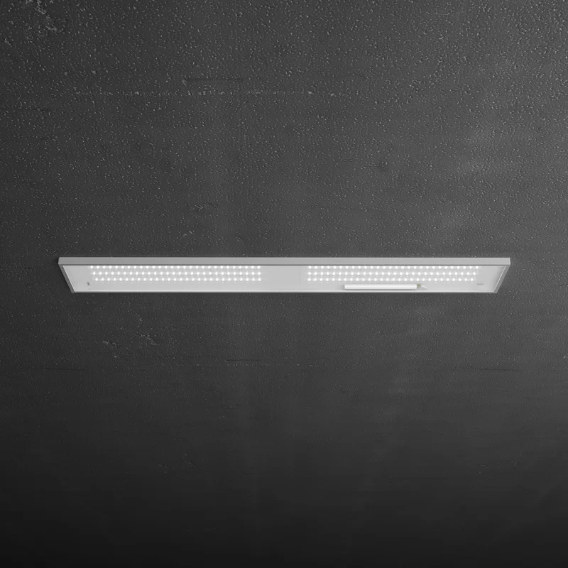 2023100601223679953.png