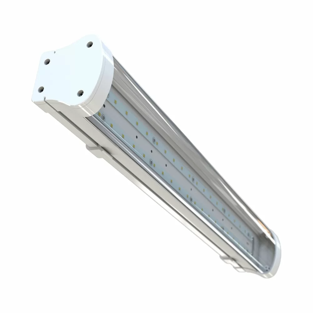 2024052709340125654.jpg