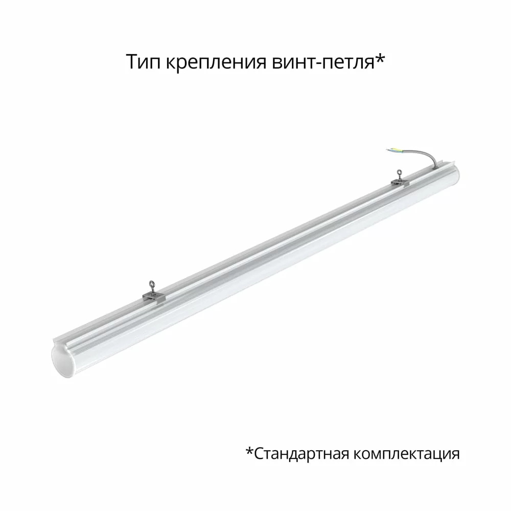 2024052712420124166.jpg