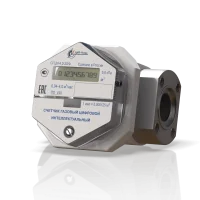 Счетчик газа СГЦИ-6 (фланец, DN20) без термокоррекции в 