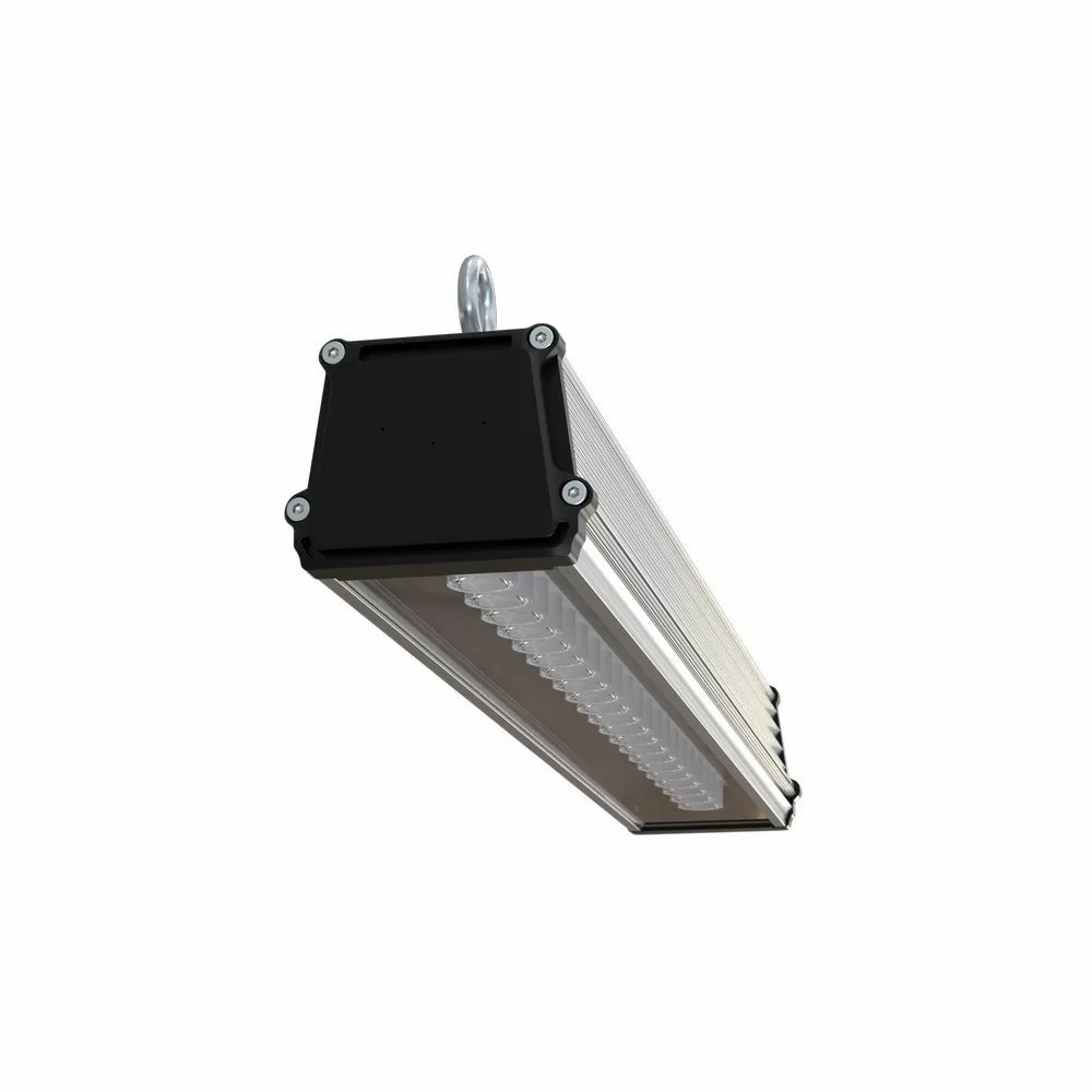 2024052712270091459.jpg