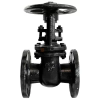 Задвижка чугунная паралелльная 30ч6бр, Китай