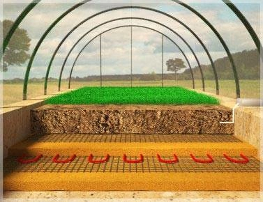 Дачный сезон: достичь высокой урожайности. Как обогреть теплицу? Дачный сезон: достичь высокой урожайности. Как обогреть теплицу?