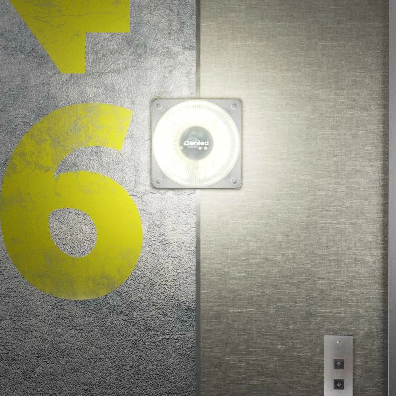 Гордость Geniled уже в продаже Гордость Geniled уже в продаже