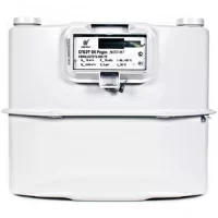 Счётчик газа СГБЭТ G6 Pegas