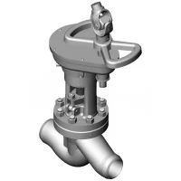 snapedit_1750239532859