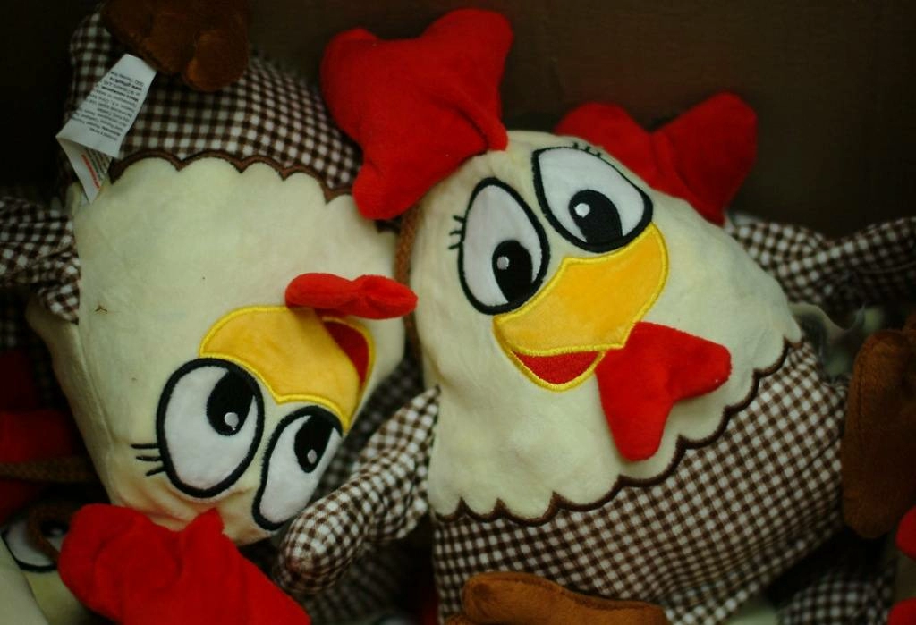 DSCF0019.jpg DSCF0019.jpg