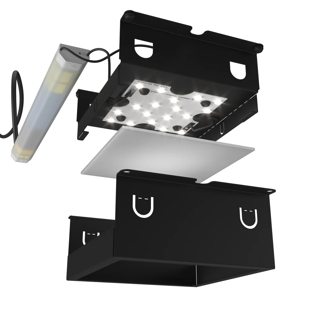 2026020306565734351.png