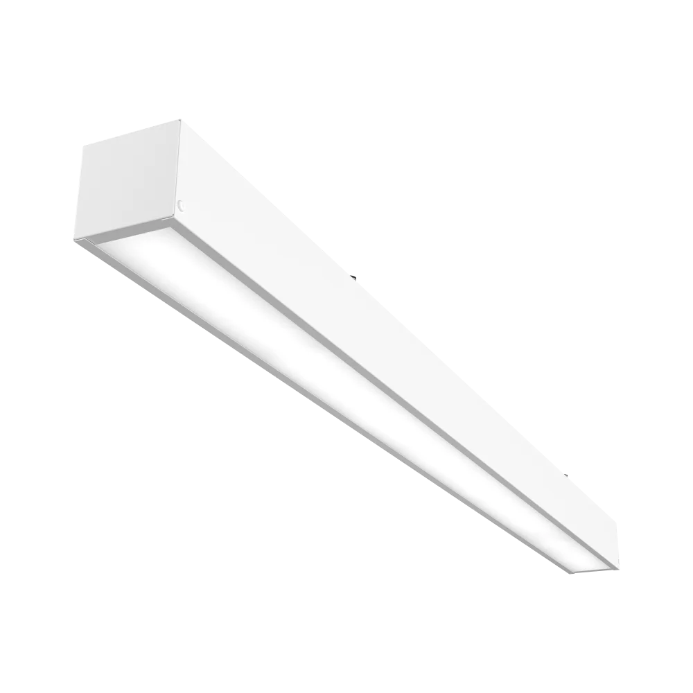 2023100313005590777.png