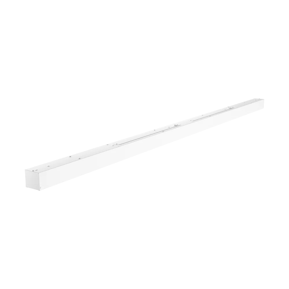 2023100313014661168.png