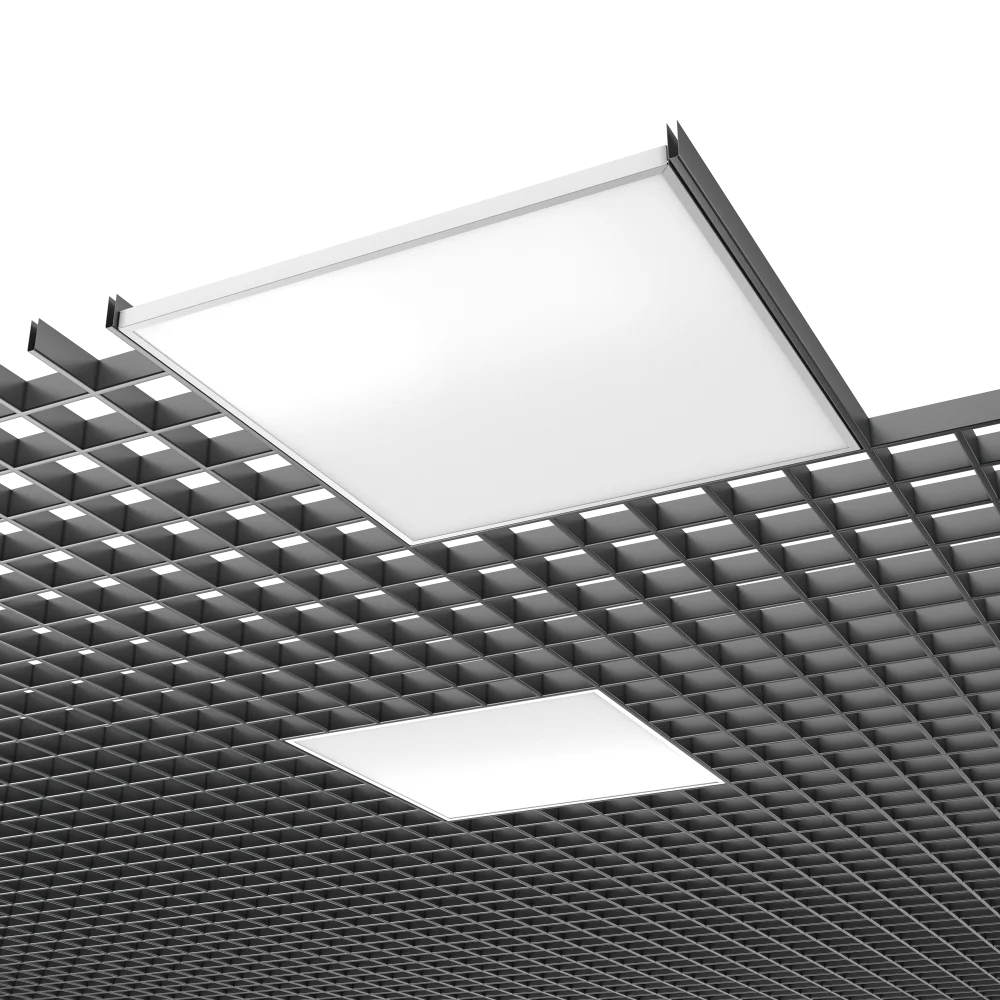 2023100913463893806.png