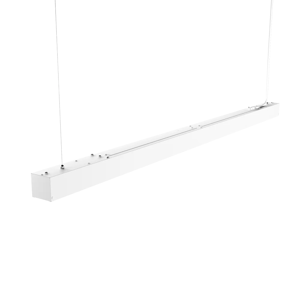 2023100913012081010.png