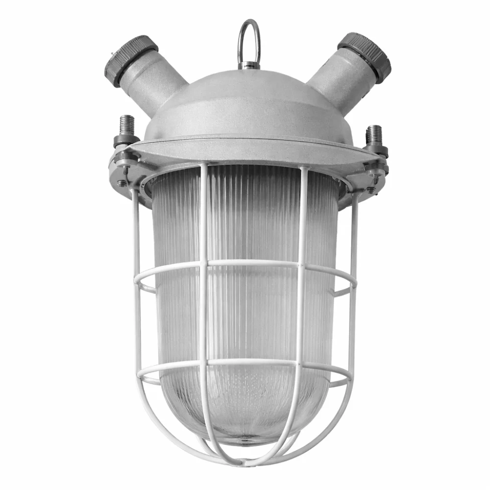 Светильник ДСР01-15-003 с сеткой / 36В в 