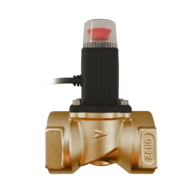 Клапан соленоидный газовый Ду20 латунный в 