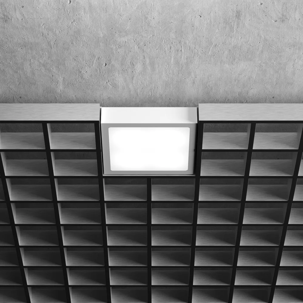 2026020306344081197.png