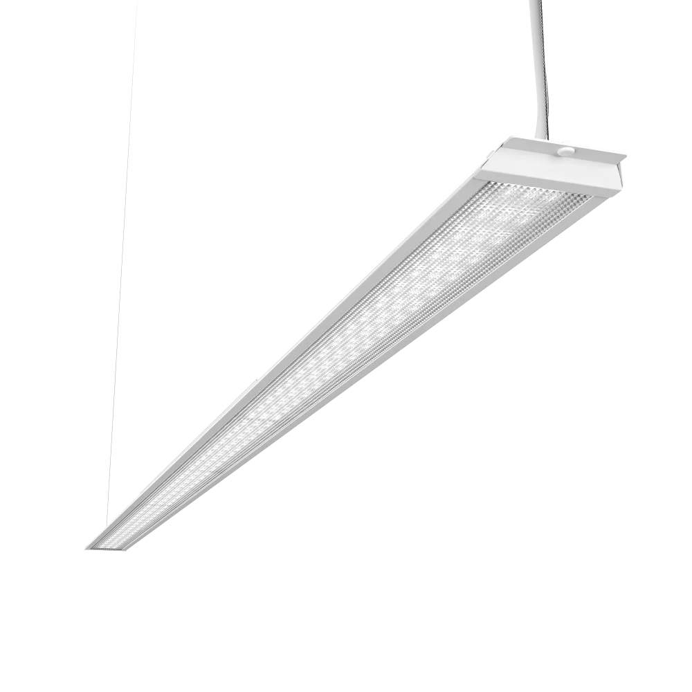 2023100913223831314.png