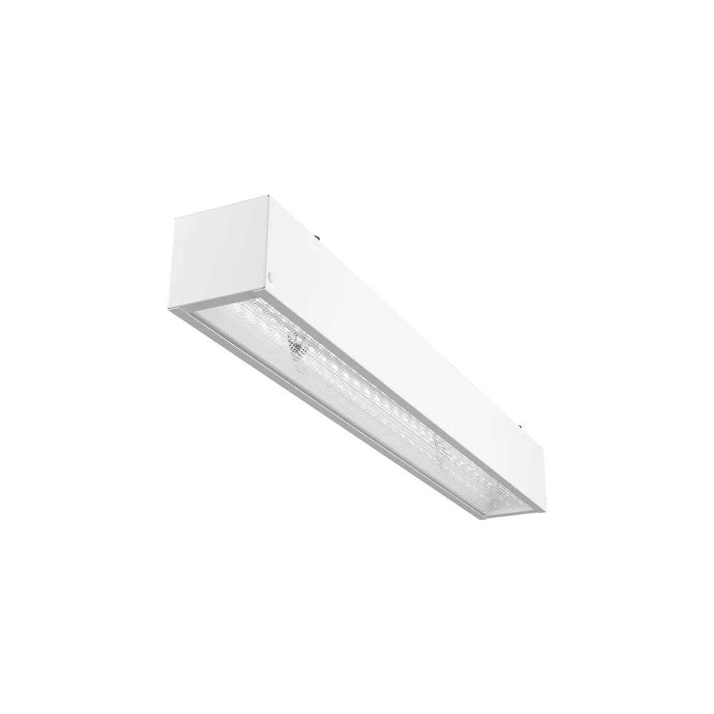 2023100312585422600.png