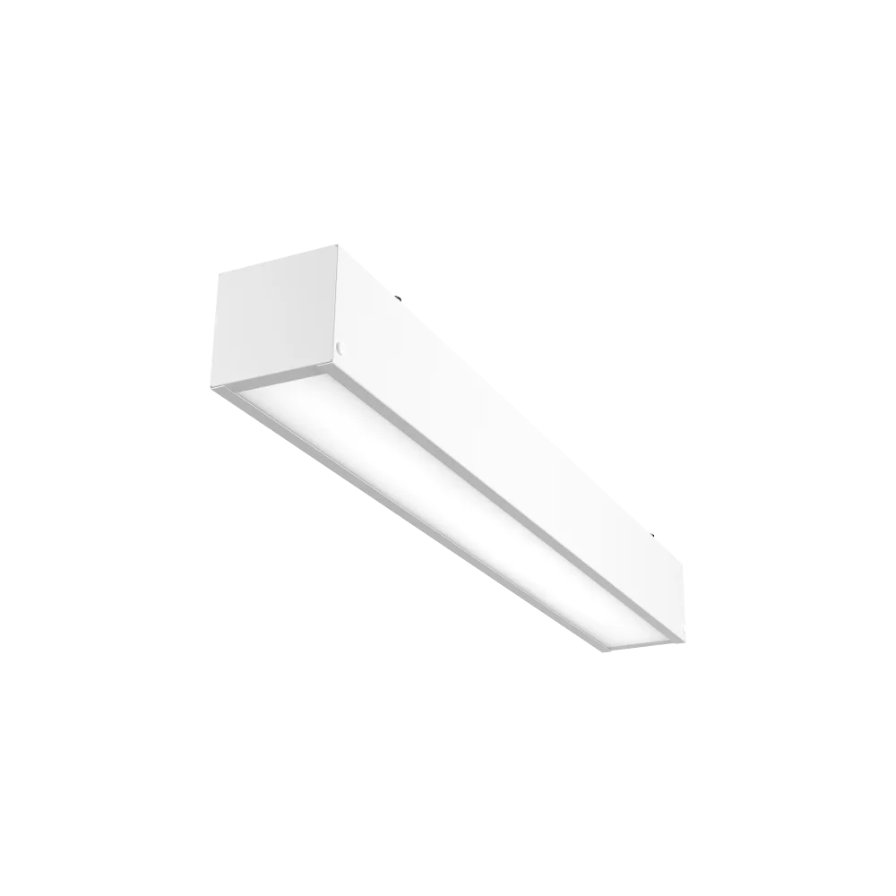 2023100312585844480.png