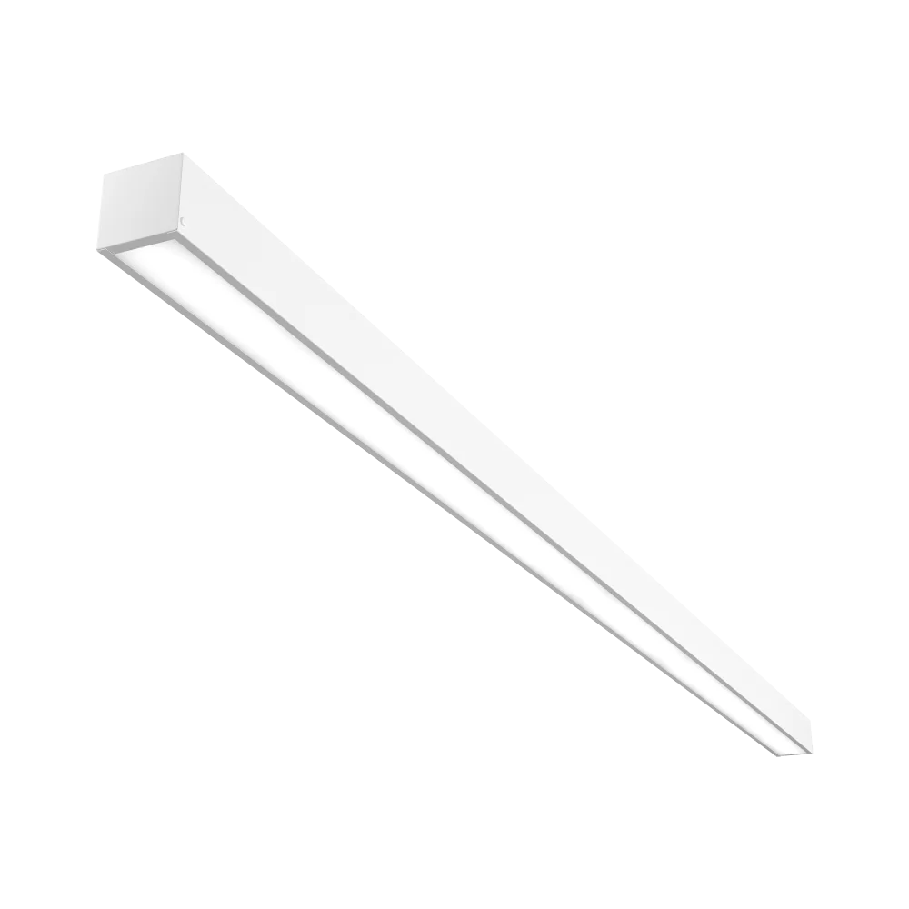 2023100313014580263.png