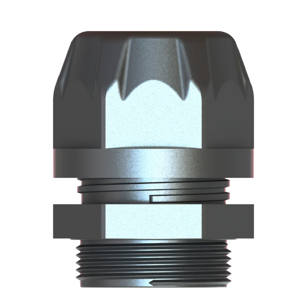vega_01_4