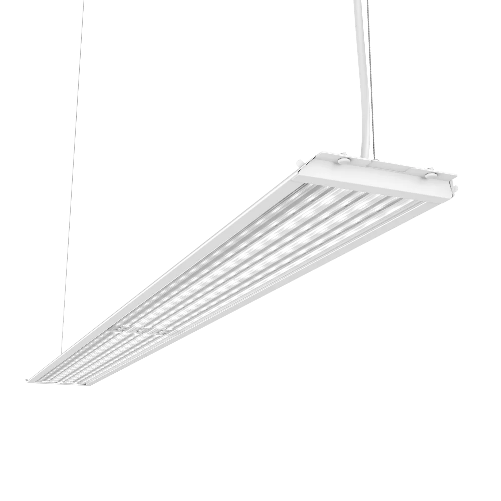 2023100913295372042.png