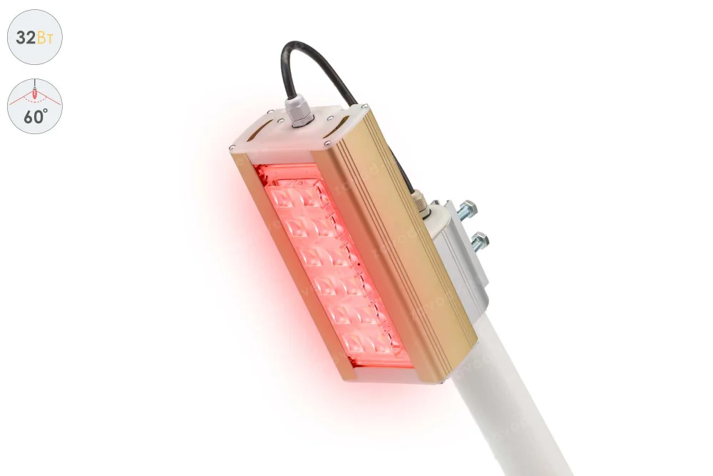 Архитектурный светодиодный светильник LSS-AR-K-018-32-60-R-67 в 