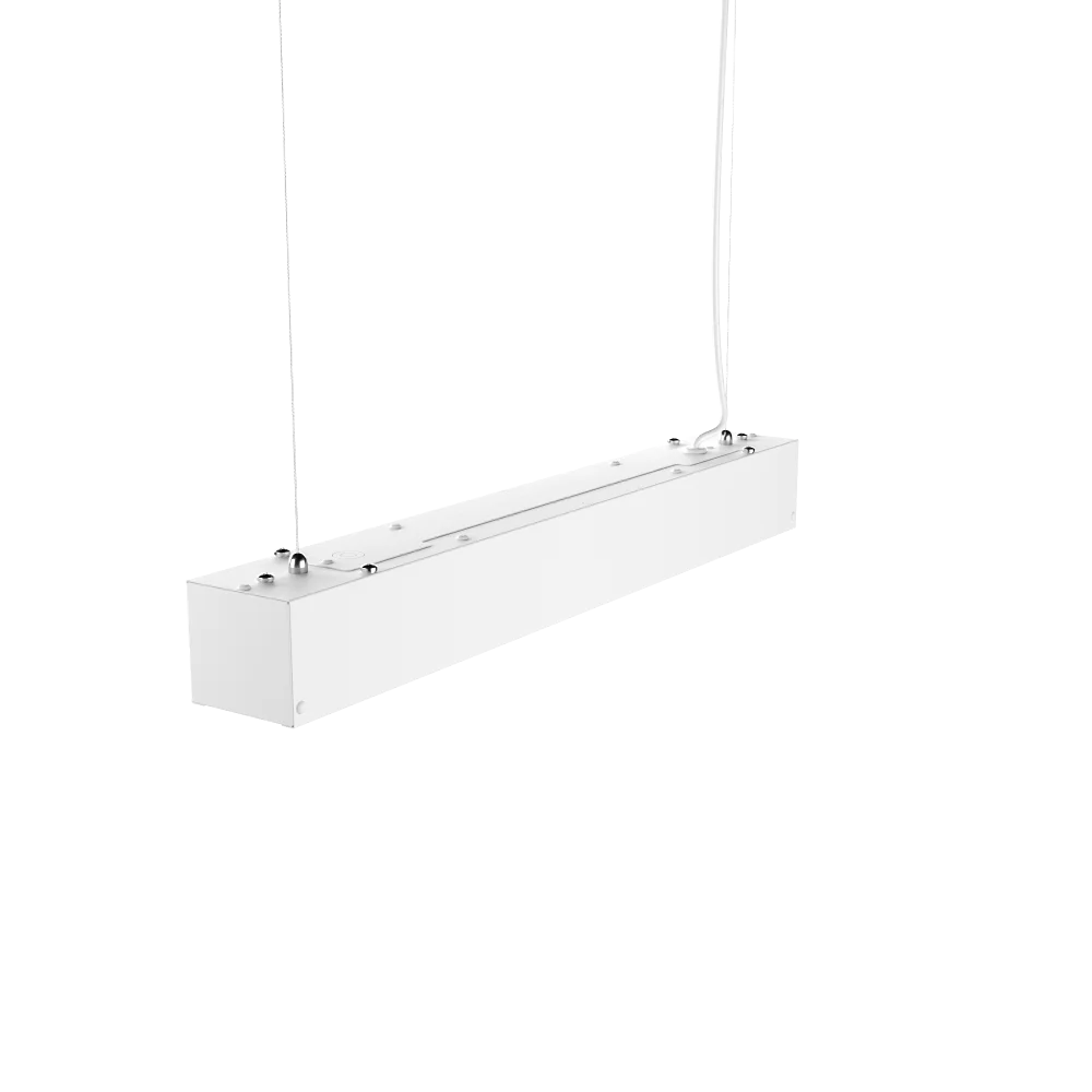 2023100912531184024.png