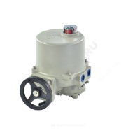 Без названия (1)