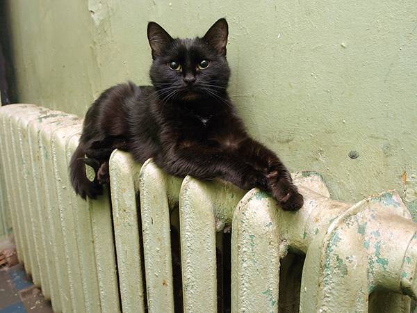 Счетчики поймали перетоп