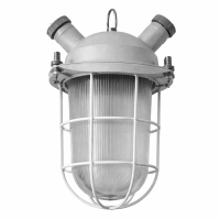 Светильник ДСР01-15-003 с сеткой в 