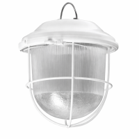 Светильник ДСП02-15-003 в 