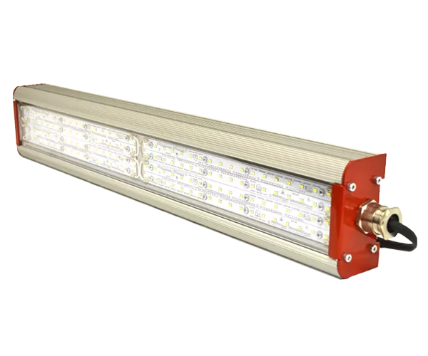 2026052509075841799.webp