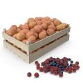 Сетки для сушки продуктов в 