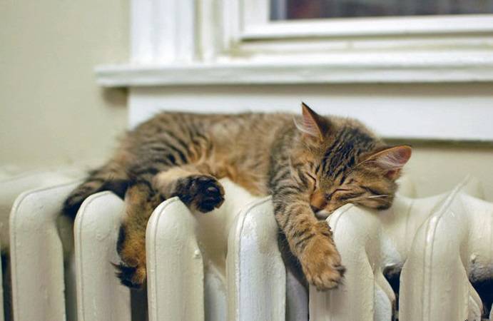 Как установить счетчик на отопление в квартиру: учет и экономия