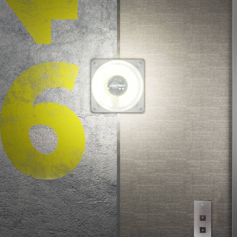 Гордость Geniled уже в продаже