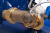 Cчетчик холодной воды комбинированный Groen DUAL (BYi) ДУ100/20, с импульсным выходом в России