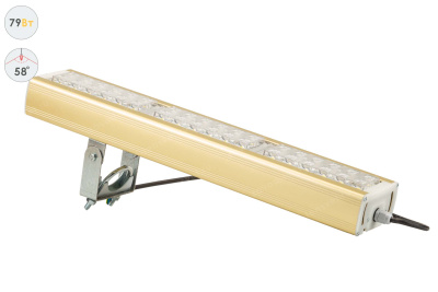 Прожектор GOLD, универсальный U-1, 79 Вт, 58° в 