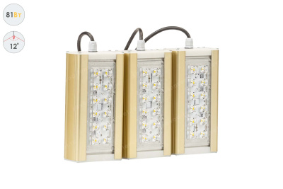 Прожектор GOLD, универсальный U-3, 81 Вт, 12° в 