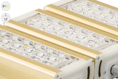 Прожектор GOLD, универсальный U-3, 81 Вт, 12° в 