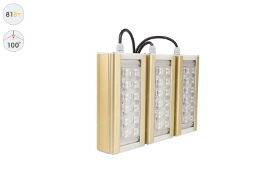 Прожектор GOLD, универсальный U-3, 81 Вт, 100° в 