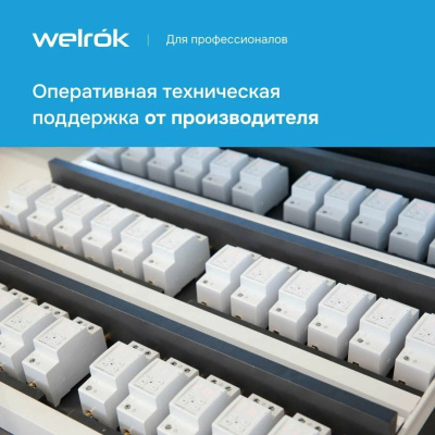Реле напряжения с контролем тока и мощности Welrok VIP-32 red в  Реле напряжения с контролем тока и мощности Welrok VIP-32 red в