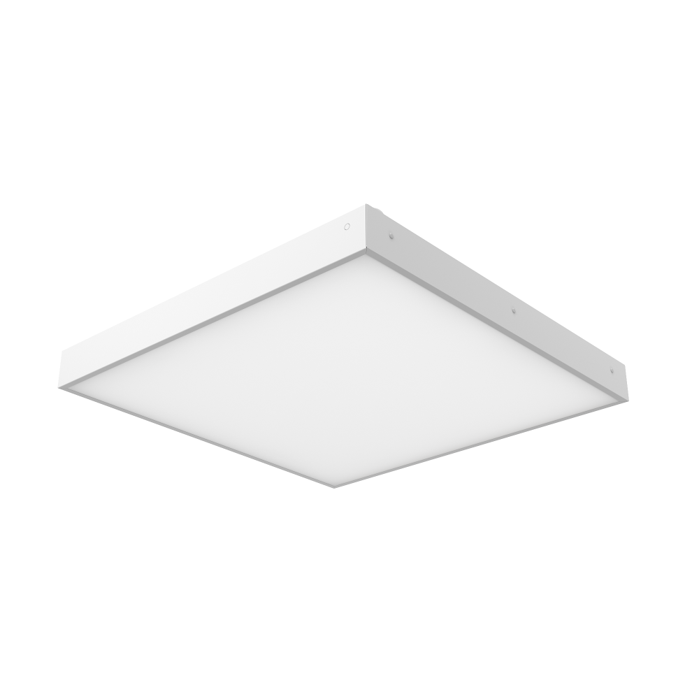 2023100913423154988.png