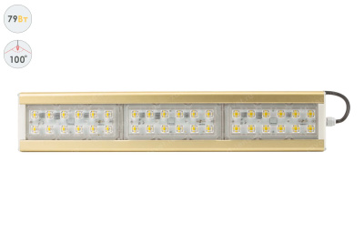 Прожектор GOLD, универсальный U-1, 79 Вт, 100° в 