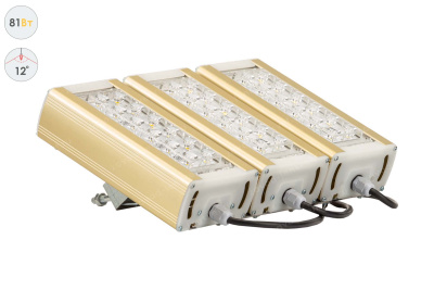 Прожектор GOLD, универсальный U-3, 81 Вт, 12° в 